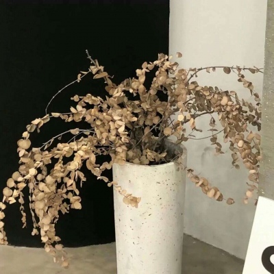 Furry插画细节提升技巧兽圈群